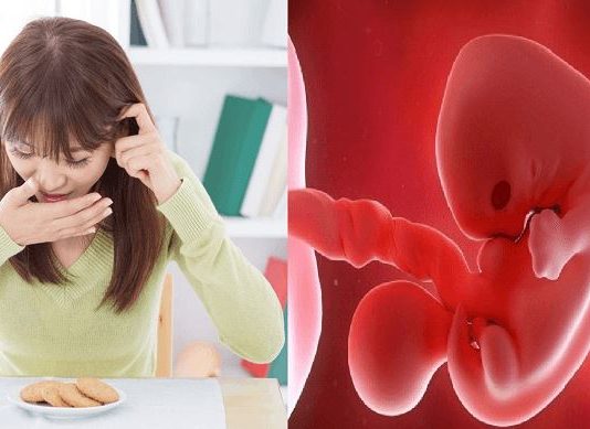 Top 5 dấu hiệu sắp hết nghén mà mẹ bầu nào cũng phải biết Dau-hieu-sap-het-nghen