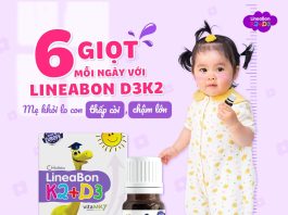 Lineabon-K2D3-dung-den-may-tuoi-12