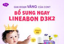 uong-lineabon-vao-thoi-diem-nao-trong-ngay-2