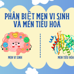 phan-biet-men-vi-sinh-va-men-tieu-hoa-7