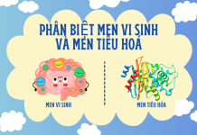 phan-biet-men-vi-sinh-va-men-tieu-hoa-7