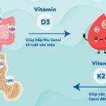 vitamin D3-va-K2-1 (1)