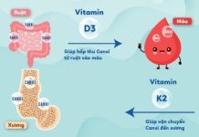 vitamin D3-va-K2-1 (1)