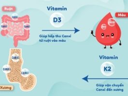 Vitamin D3 và K2 hoạt động như thế nào khi đưa vào cơ thể? vitamin D3-va-K2-1 (1)