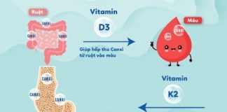 vitamin D3-va-K2-1 (1)