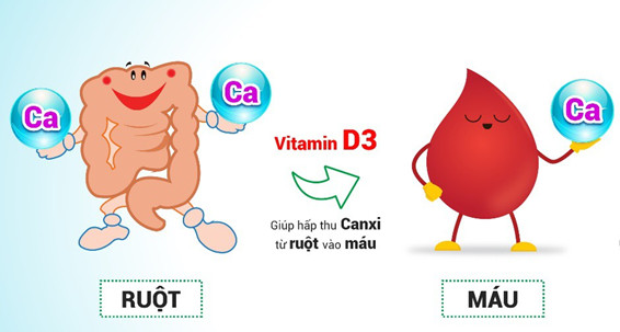 vitamin D3-va-K2-1