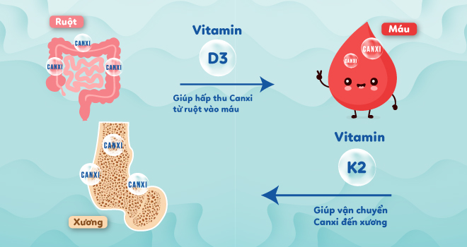 vitamin D3-va-K2-2