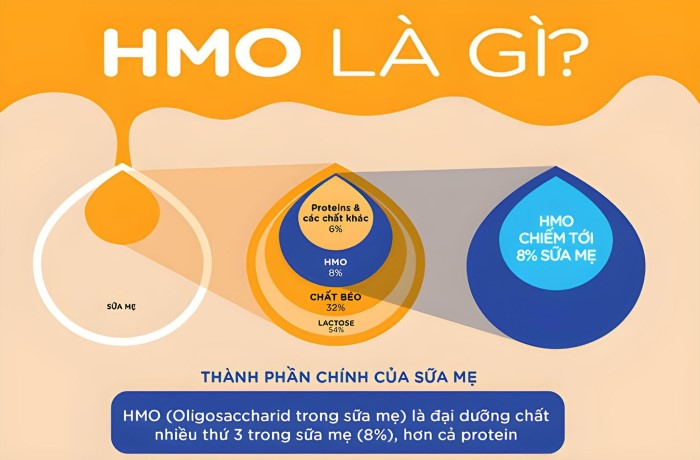 hmo-la-chat-gi.png