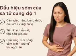 Sa tử cung độ 1 có chữa được không? Dấu hiệu sớm và cách khắc phục hiệu quả tại nhà