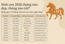 Sinh con 2026 tháng nào đẹp, tháng nào tốt? Bảng gợi ý 12 tháng cho bố mẹ chọn ngày vàng